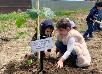 Ծառատունկ Գյումրիում