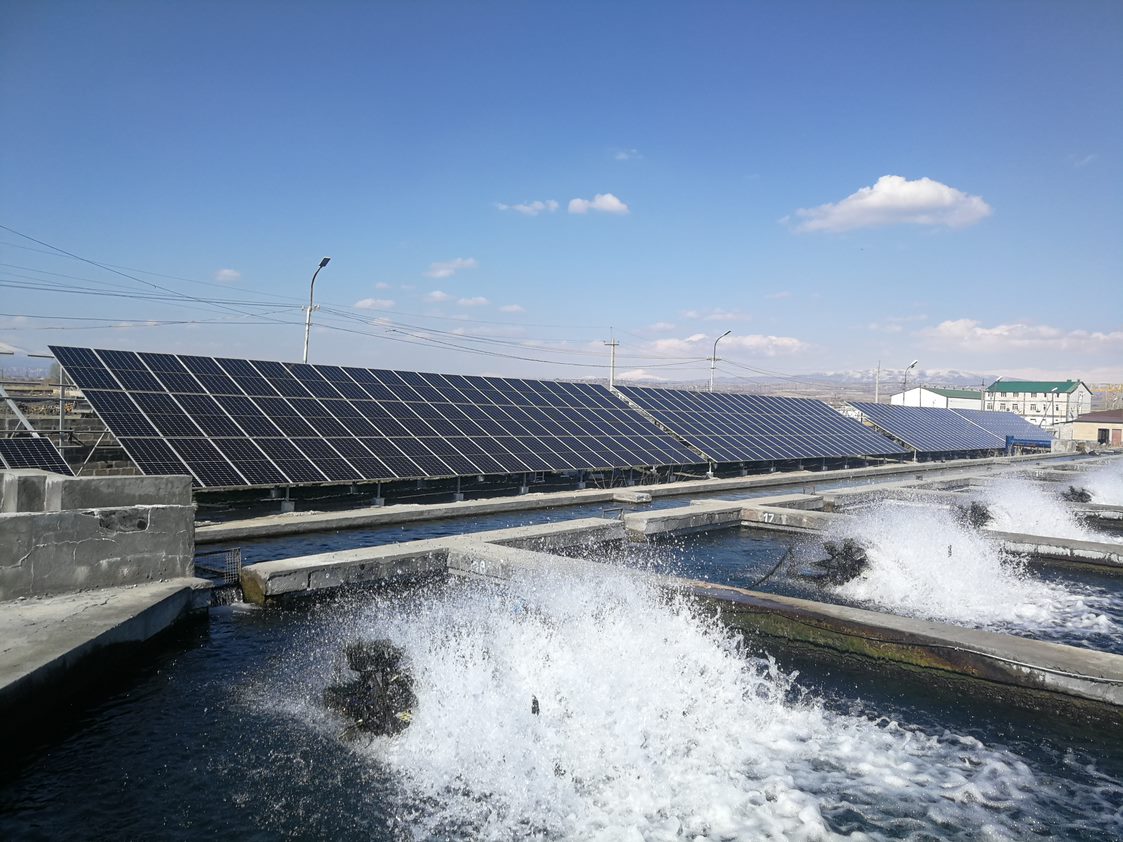 Մխչյան Ֆիշ ձկնաբուծարան /531 կՎտ