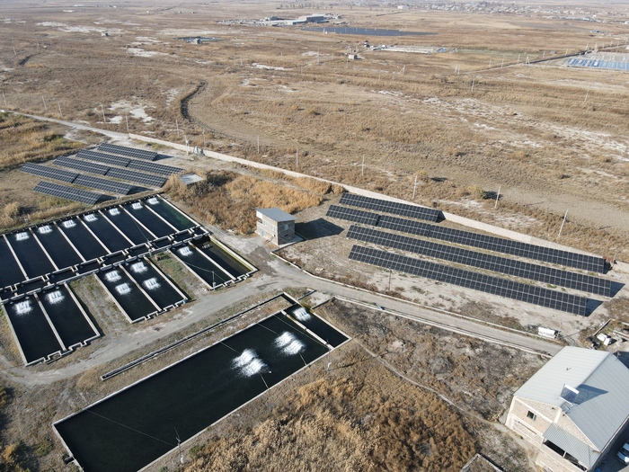 Մոս Ֆիշ ձկնաբուծարանը հոսանք է ստանում արևային կայանից